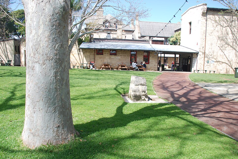 Trees, lawn and paths in the Fremantle Arts Centre courtyard in 2011.