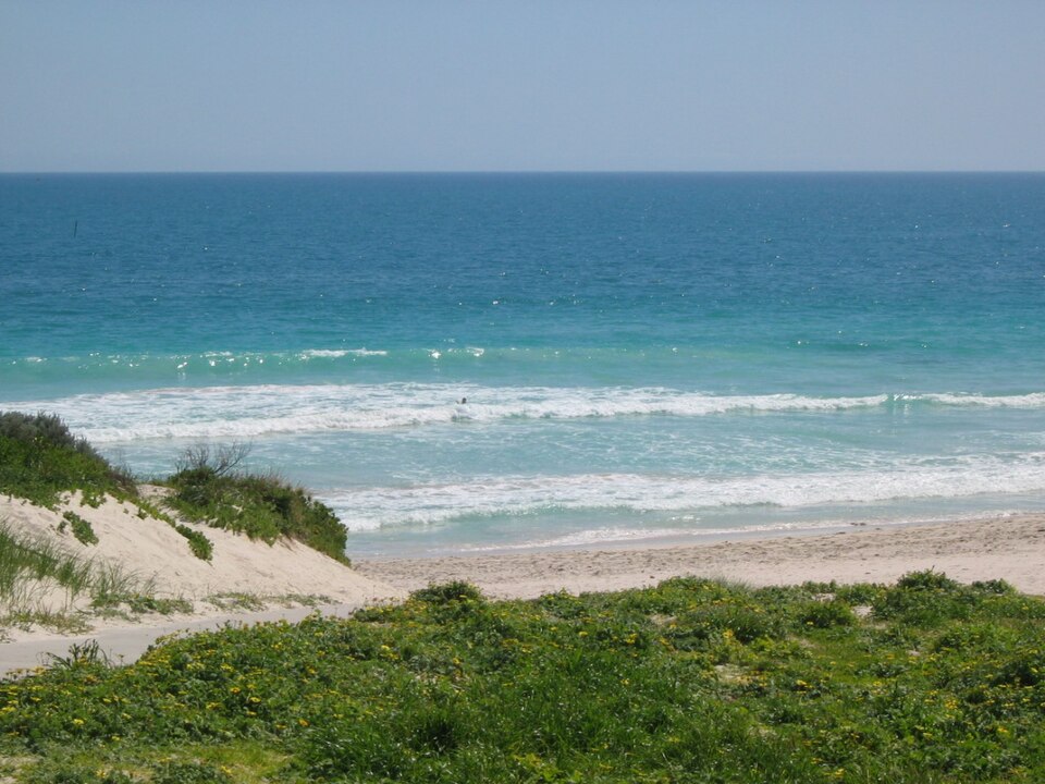 Waves breaking on Mullaloo Beach beyond coastal dune vegetation.