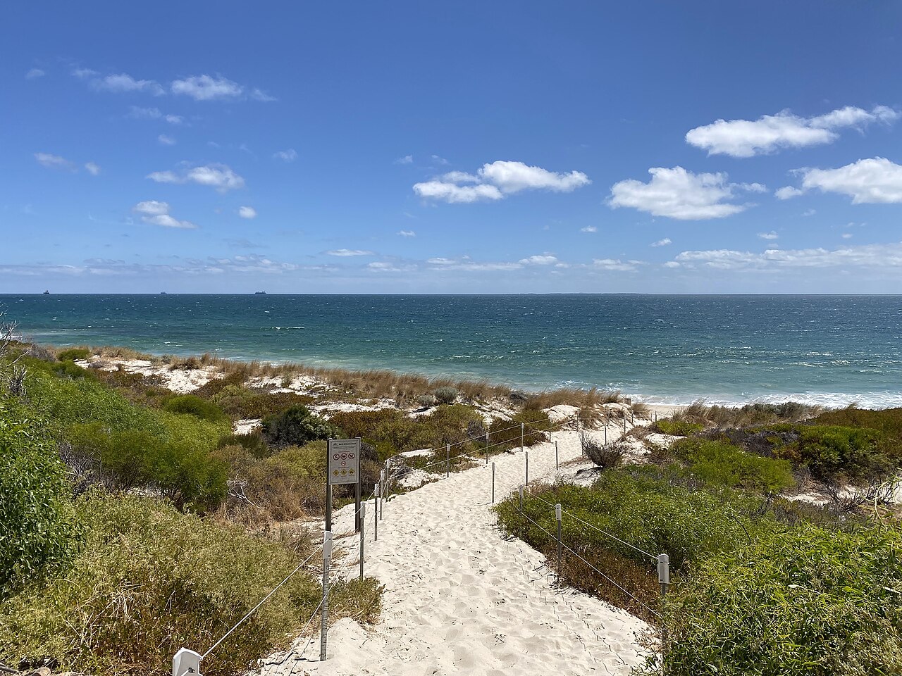 Fenced sandy beach entrance through dune vegetation at North Cottesloe.