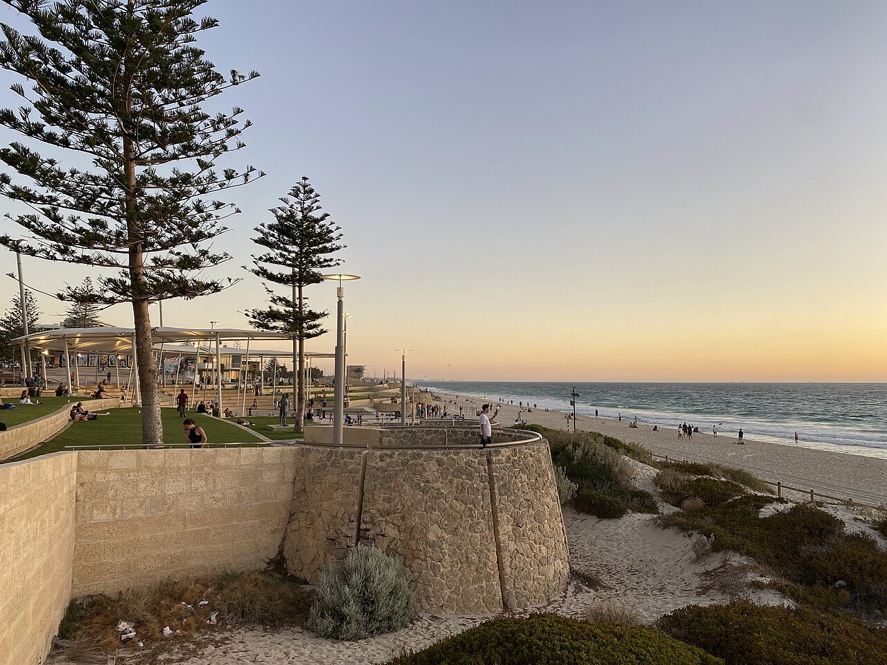 Foreshore lawns, pine trees and a shaded structure beside Scarborough Beach at sunset.
