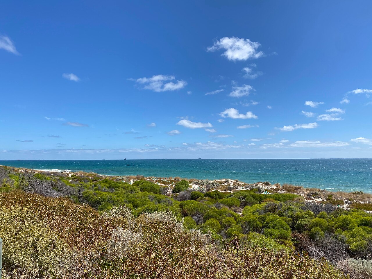 Coastal vegetation and dunes with the ocean beyond at Swanbourne Beach.