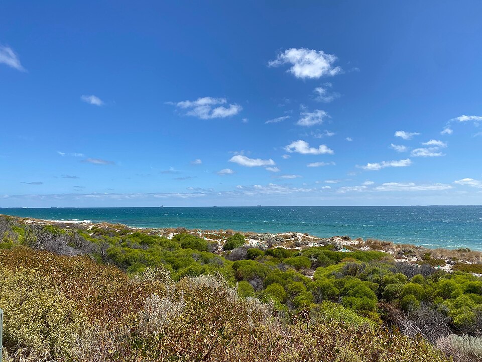 Coastal vegetation and dunes with the ocean beyond at Swanbourne Beach.