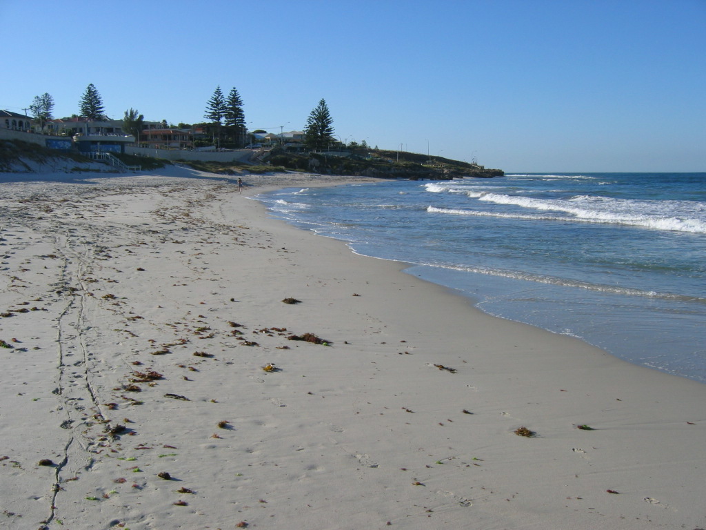 Sand and breaking waves at Watermans Bay, with houses and pine trees above the shore.