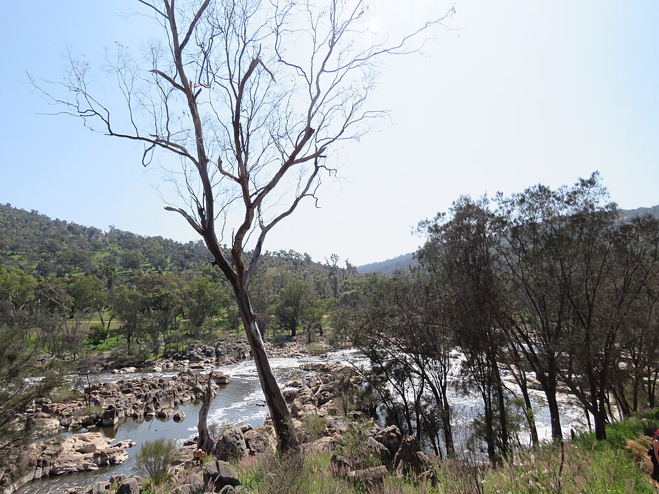 River rapids and bush-covered hills at Bells Rapids