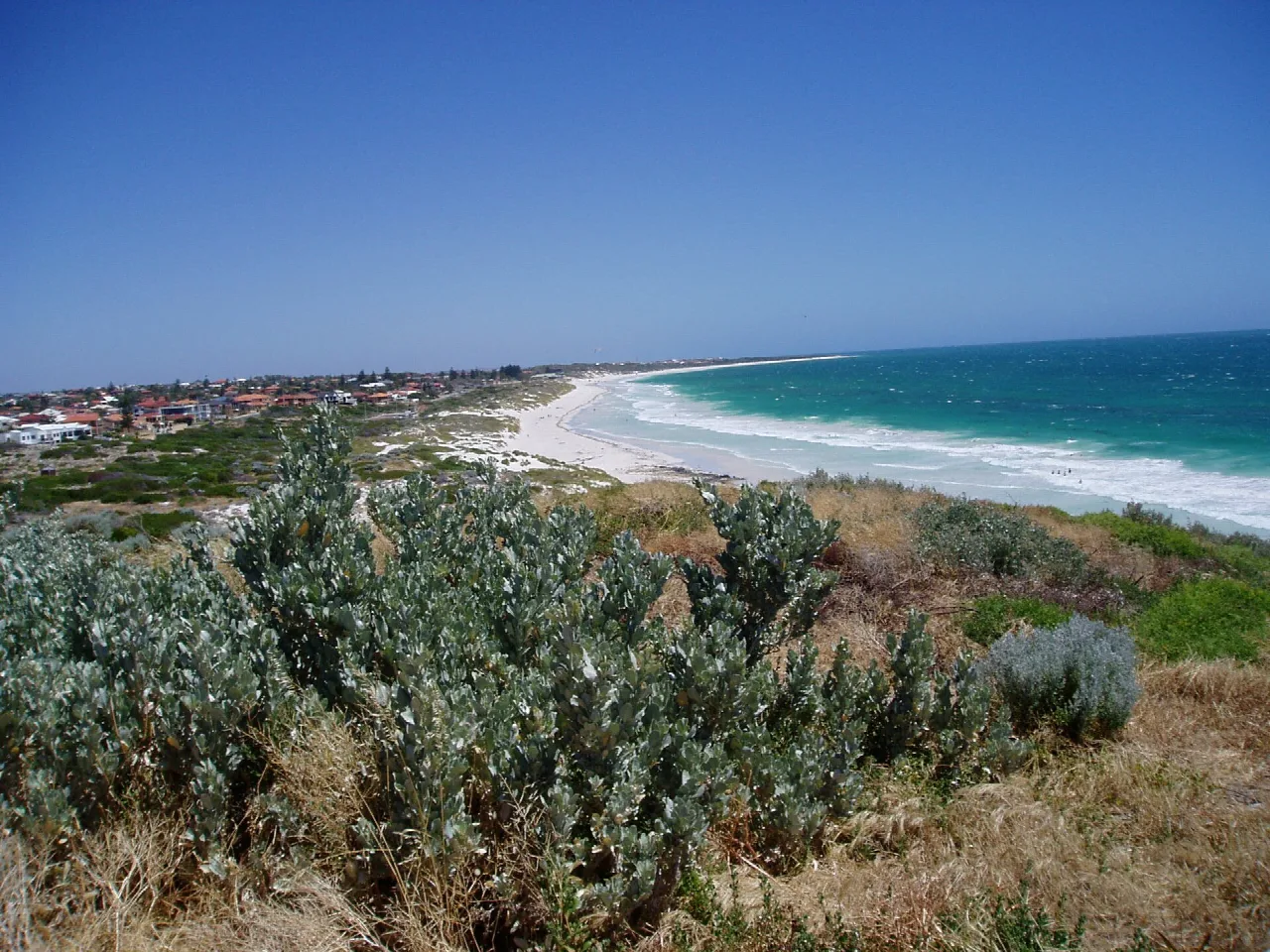 Elevated view over Mullaloo Beach, dunes and the Indian Ocean.