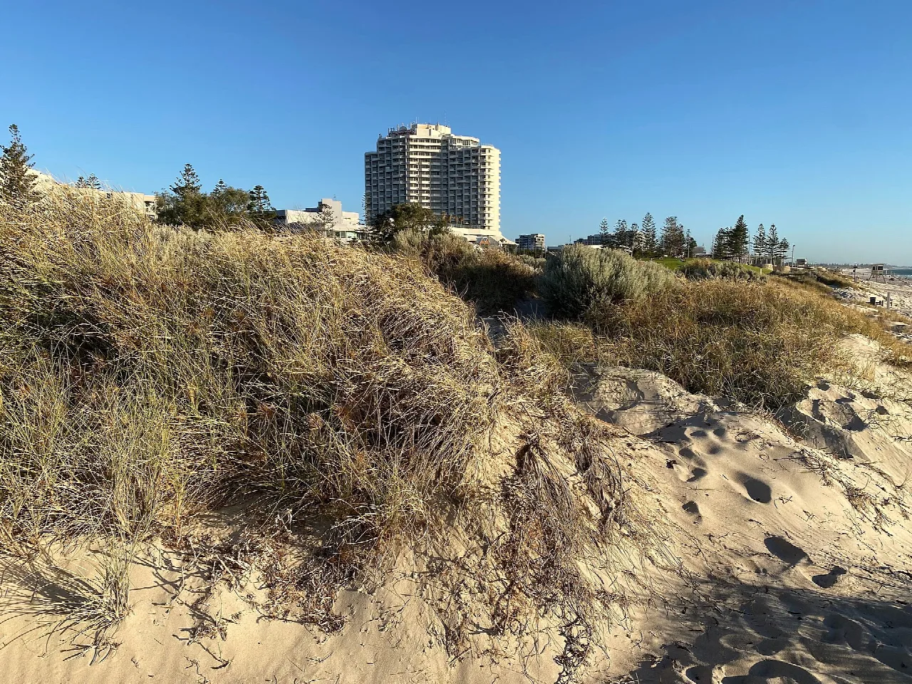 Dunes, sand and beachfront buildings at Scarborough Beach.