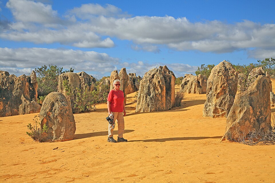 Pinnacles limestone formations rising from the desert sand, with a visitor among them.