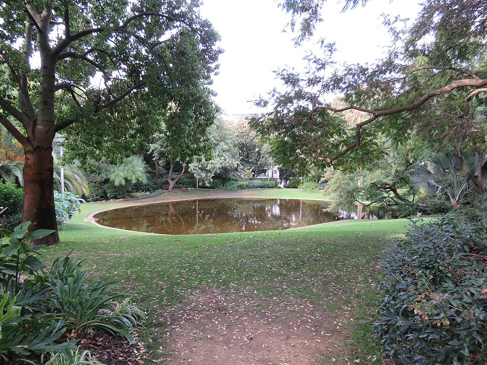 Small pond framed by mature trees in Harold Boas Gardens