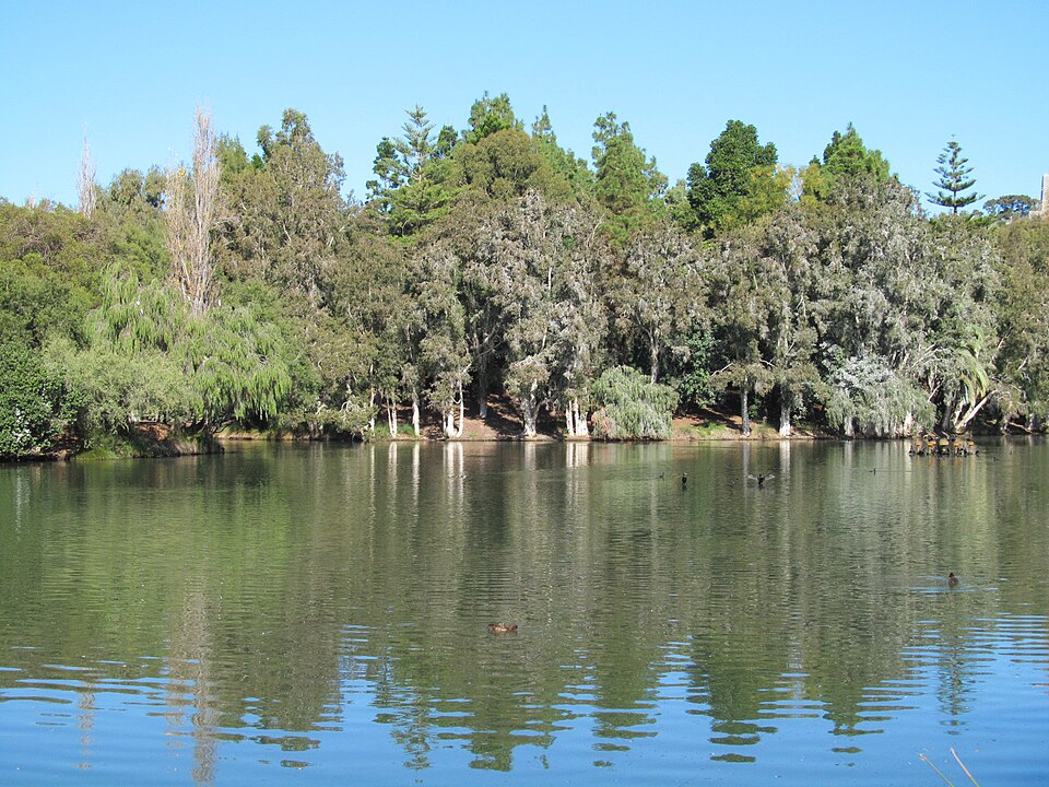 Small lake surrounded by trees at John Oldham Park