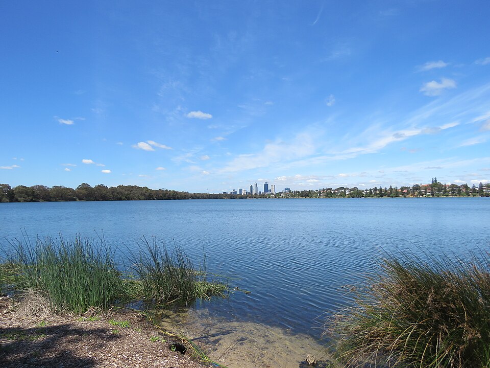 Reeds on the shore of Galup with the distant Perth skyline