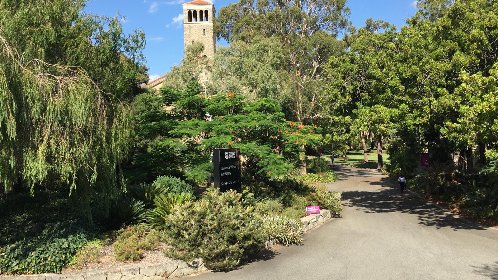 A path among trees and gardens on UWA’s Crawley campus, with a tower in the background.