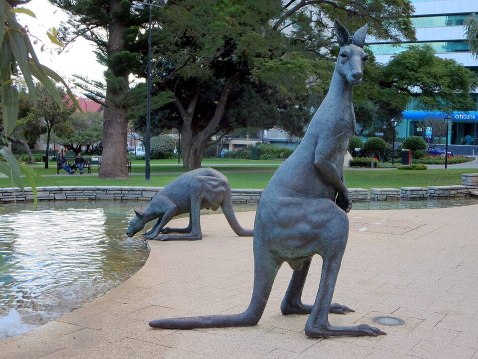Bronze kangaroos near planting and water in Stirling Gardens