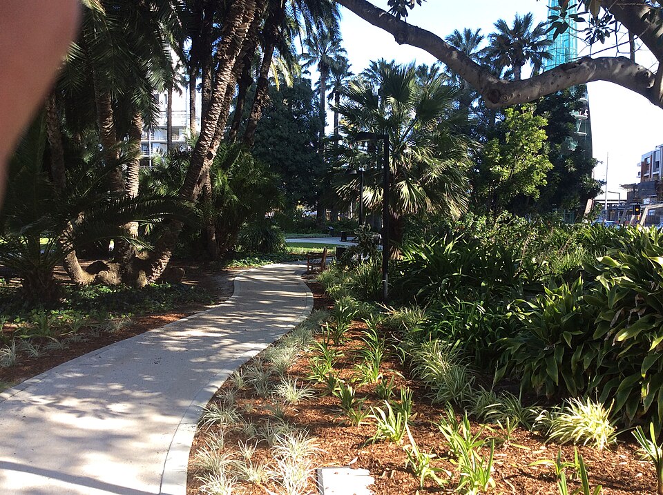Path and mature planting in Supreme Court Gardens before works