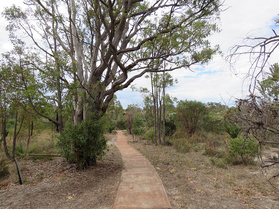 Narrow marked trail through the Wireless Hill bushland